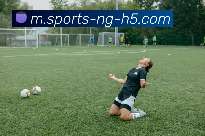 App功能展示图
