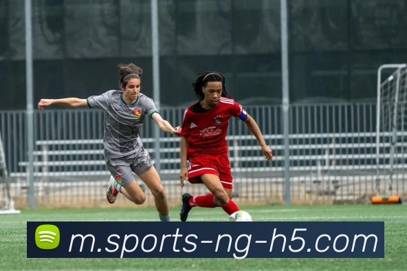 App Interface Preview